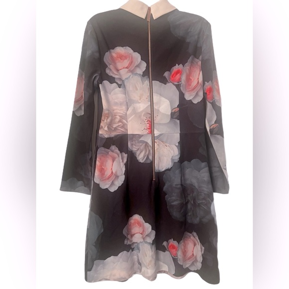 TED BAKER chelsea Floral collar dress size 2 - Picture 6 of 9